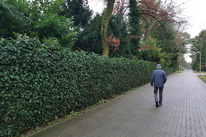 Älterer Mann von hinten, geht durch einen Park spazieren